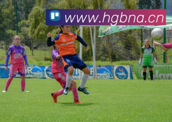 星空体育在线官网APP 高清赛事图